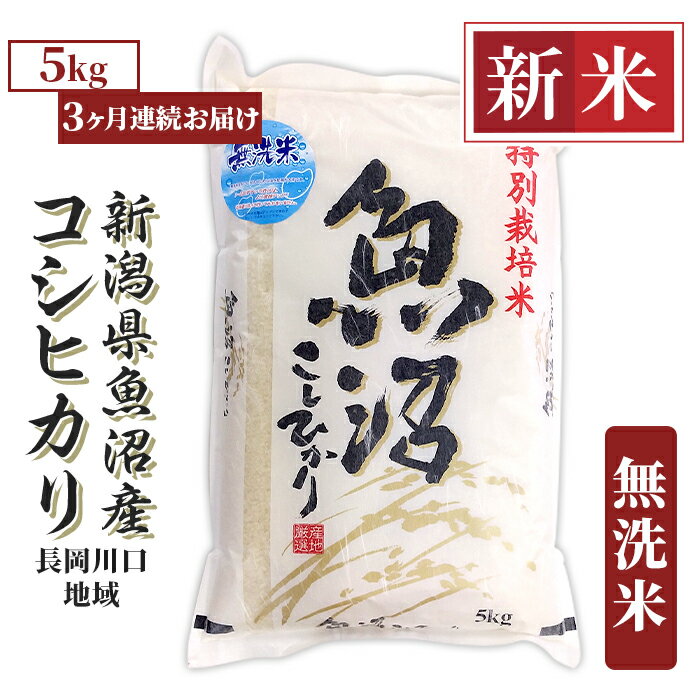 【ふるさと納税】米 無洗米 定期便 5kg 白米 コシヒカリ 魚沼 新潟 令和7年 新米 H0-7M053A【3ヶ月連続お届け】新潟県魚沼産コシヒカリ（長岡川口地域）無洗米5kg