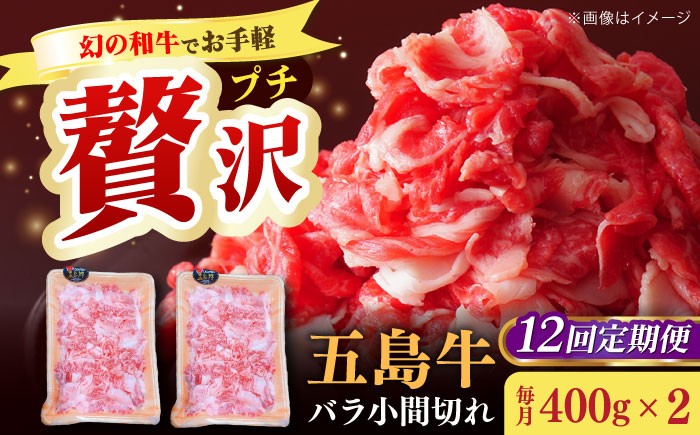 
                  【全12回定期便】【希少で上品なお肉をご家庭で！】五島牛 バラ 小間切れ 2パック（800g）切り落とし 4～5人前【ごとう農業協同組合】 [RAT014]
                