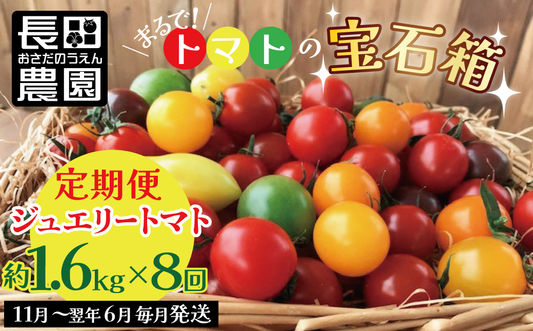 【先行受付】11月～6月毎月発送　まるで宝石箱!!ジュエリートマトの定期便　8回コース【個数限定】　H004-142