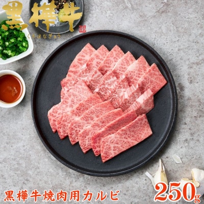 くまもと黒毛和牛 黒樺牛 A4〜A5等級 牛肉カルビ 250g×1【杉本本店】(美里町)【配送不可地域：離島】【1617810】