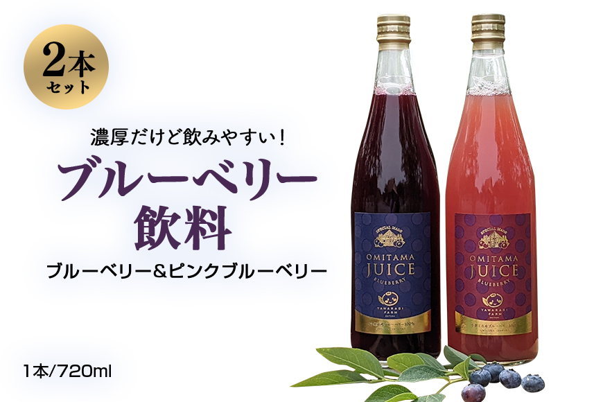 【数量限定】果汁50％ピンクブルーベリー飲料1本＆果汁50％ブルーベリー飲料1本（化粧箱入り） ブルーベリー ブルーベリー飲料 ピンクブルーベリー フルーツ 果物 ジュース ビタミンE アントシアニン 目にいい 健康 美容 ギフト 贈り物 茨城県産 セット ドリンク 9-P