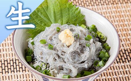 しらす問屋とびっちょ　生しらす釜揚げしらすたっぷりセット