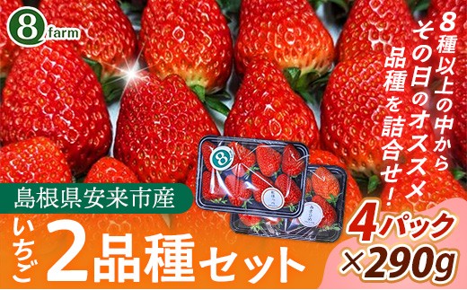 
                  【先行予約】イチゴ2品種 4パックセット【 約290g×4パック 約1160g 食べ比べ いちご 苺 ストロベリー 冷蔵 安来市産】【16-FA-05】
                