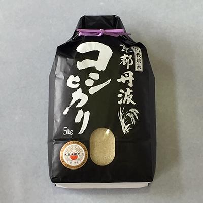 ふるさと納税 南丹市 令和7年産 京都丹波産 コシヒカリ 5kg 精米