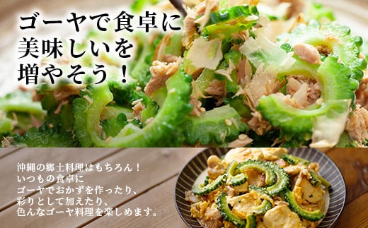 南国石垣島では冬が旬！朝採れ「ゴーヤ」大5本セット！減農薬！最優秀賞受賞の農家から！2026年1月上旬～2026年2月中旬頃まで順次発送【 沖縄 石垣 石垣島 石垣島産 フレッシュ ゴーヤ 減農薬 特