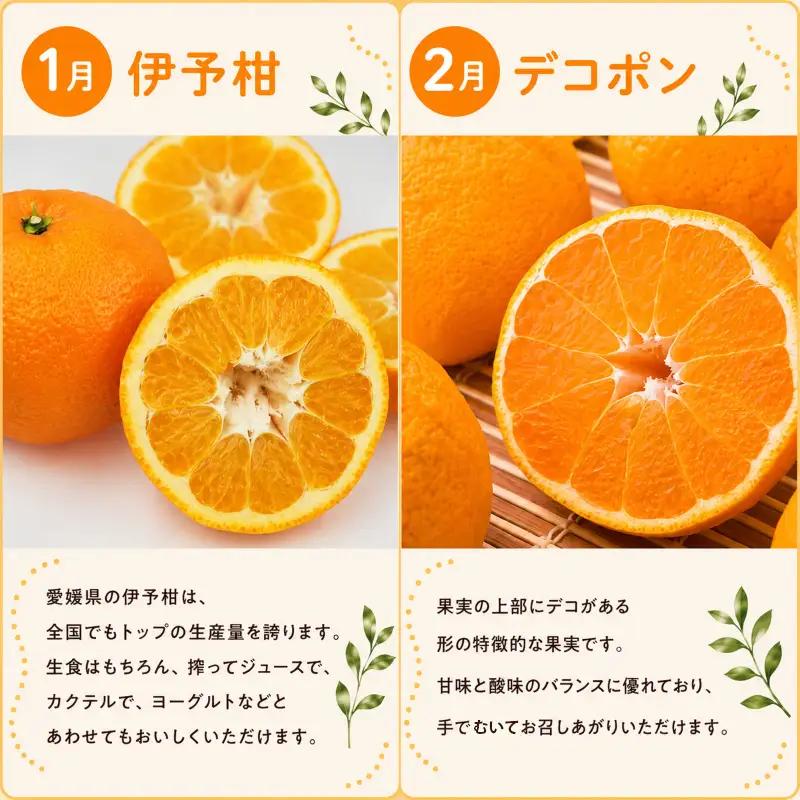 【定期便6回】えひめかんきつ定期便 みかん 紅まどんな 伊予柑 デコポン せとか 河内晩柑 【KBK0112】