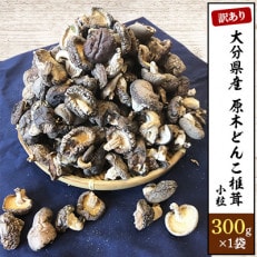 大分県産原木訳あり小粒どんこ椎茸300g