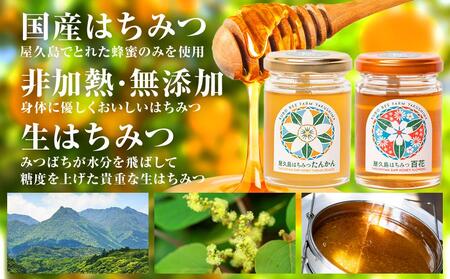 【ギフト用】屋久島産 はちみつ（たんかん・百花）120g×2個＜久保養蜂園 屋久島ファーム＞