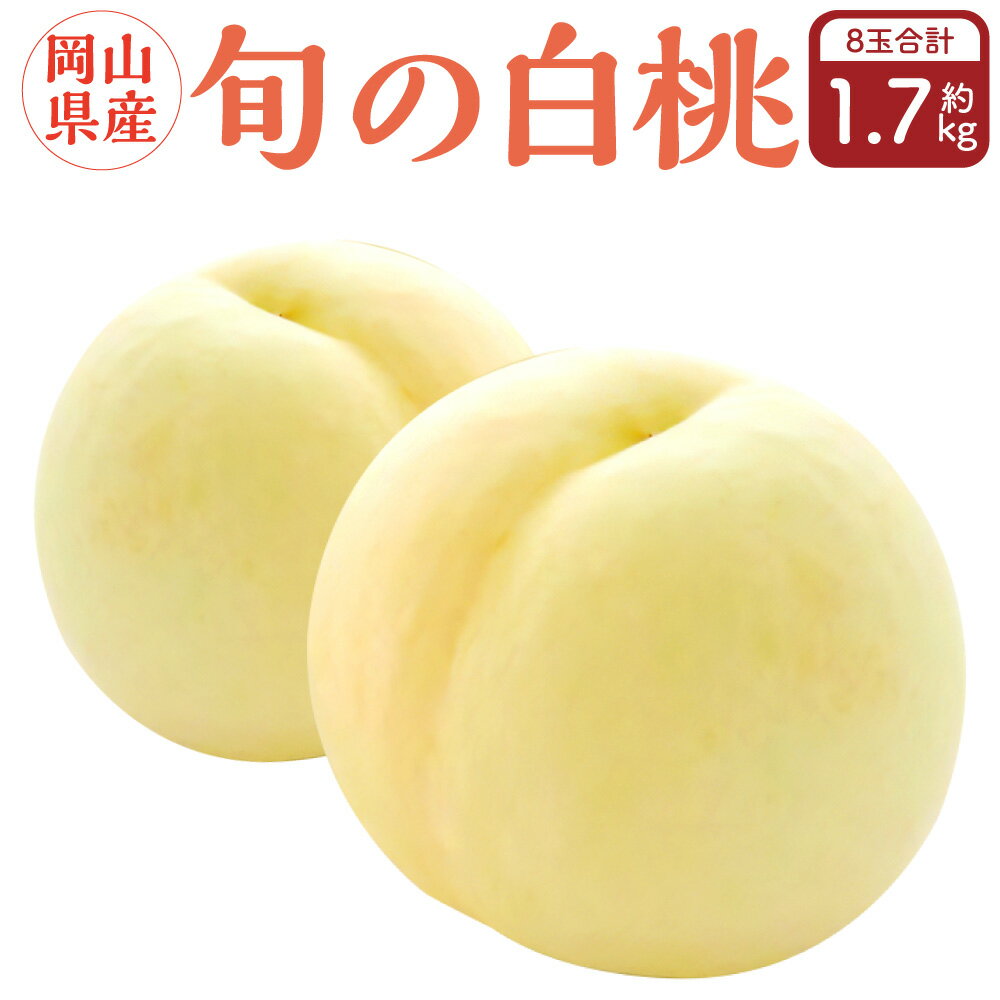 【ふるさと納税】岡山県産 旬の白桃 8玉 （計1.7kg以上）【2025年7月上旬～8月上旬迄発送予定】 化粧箱入り 果物 くだもの フルーツ 桃 もも モモ 白桃 旬 ギフト 贈り物 プレゼント 手土産 デザート おやつ お取り寄せ 岡山 おかやま 国産 冷蔵 奈義町 送料無料