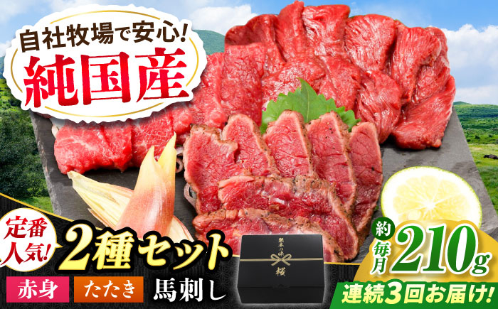 
            【全3回定期便】『純国産』熊本の味 馬刺し 入門 2種 セット 計約210g（2〜3人前）赤身 タタキ 馬肉 冷凍 熊本 ばさし 合志 詰め合わせ 定期 定期便 九州 熊本【有限会社 九州食肉産業】 [AYCN101]
          