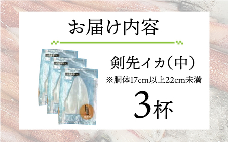 剣先イカ 刺身 （中） 3杯  [JEW003] イカ