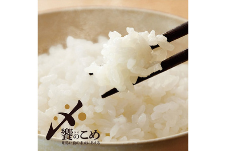 米 令和5年 能登米 こしひかり 精米 5kg [中橋商事 石川県 宝達志水町 38600557]お米 白米  ごはん 美味しい コシヒカリ