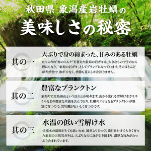 先行予約 秋田の肉厚な天然岩牡蠣（岩ガキ 5個以上）※ナイフ付き かき カキ 秋田県 にかほ市産 天然 岩牡蠣  殻付 牡蠣 海産物 魚介類 海鮮