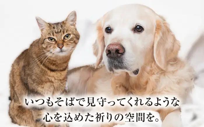 ペット ペット用仏壇プティ(オーク×ブラック) / ペット 犬 猫 小動物 ペット用仏壇 供養 仏壇 メモリアル グッズ 虹の橋 大阪府 / 大阪府藤井寺市/株式会社名佛堂 [BLBP003]