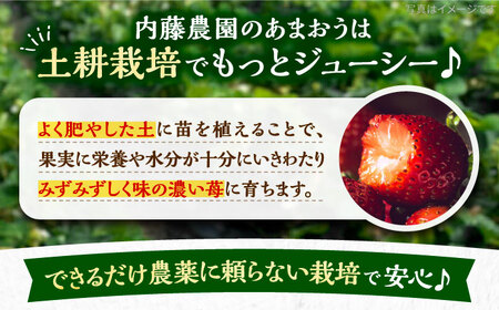 【先行予約】【12月発送】 あまおう 贈答用 エクセレント 430g以上×1箱 《豊前市》【内藤農園】果物 いちご [VAB013]