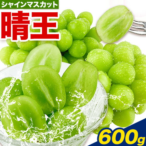 ぶどう【2026年先行予約】シャインマスカット 晴王 1房 600g 岡山県産《2026年9月上旬-10月末頃出荷(土日祝除く)》 ハレノフルーツ マスカット 送料無料 岡山県 浅口市 フルーツ 果物 贈り物 ギフト 国産 岡山県産 くだもの 青果物 【配送不可地域あり】