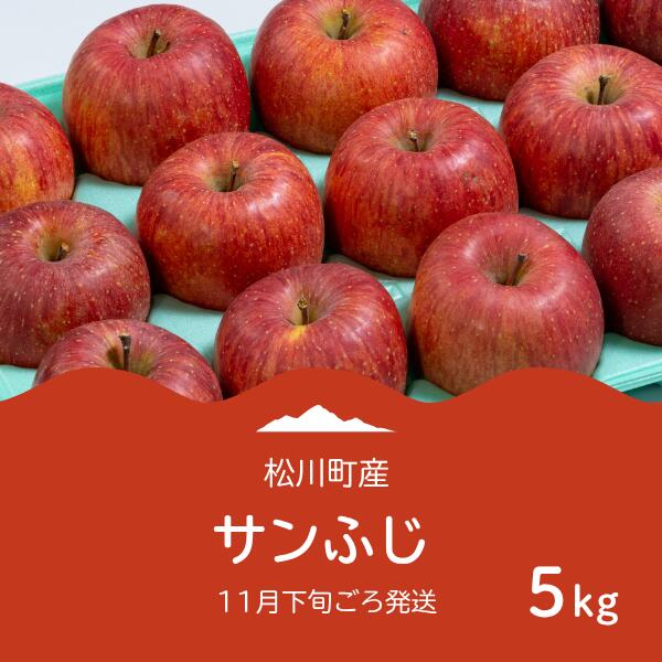 【ふるさと納税】りんご サンふじ（松川町産）秀品 約5キロ／2025年11月中旬頃～12月上旬頃 配送予定 // 長野県 南信州 松川町 ギフト りんご リンゴ 林檎 サンふじ サンフジ 贈答 AS09
