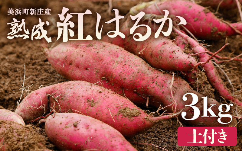 
            【先行予約】大谷原の熟成さつまいも (3kg 土付き) 約15本【2025年10月下旬以降順次発送予定】【入手困難・数量限定】【サツマイモ 芋 イモ 紅はるか べにはるか 熟成 甘い おいしい 国産 産地直送】 [m23-a018]
          
