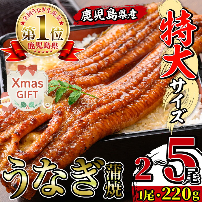 【ふるさと納税】【クリスマスギフト】＼特大サイズ／ 尾数が選べる！ 鹿児島県産 うなぎ蒲焼 ( 2尾 / 3尾 / 5尾 ) 1尾 約220g たれ 山椒付きうなぎ 鰻 ウナギ 特大 特大サイズ 特大鰻 蒲焼き 国産 鹿児島県産 選べる 贈答 ギフト プレゼント クリスマス 【薩摩川内鰻】