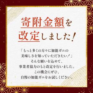 朝茹で 加能ガニ 姿1杯 2024年11月上旬以降発送 カニ 朝ゆで 加能蟹 かのうがに 姿 ボイル 蟹 ズワイガニのオス 先行予約 予約 冷蔵発送 贈り物 ギフト ご当地 グルメ 海の幸 海産物 食