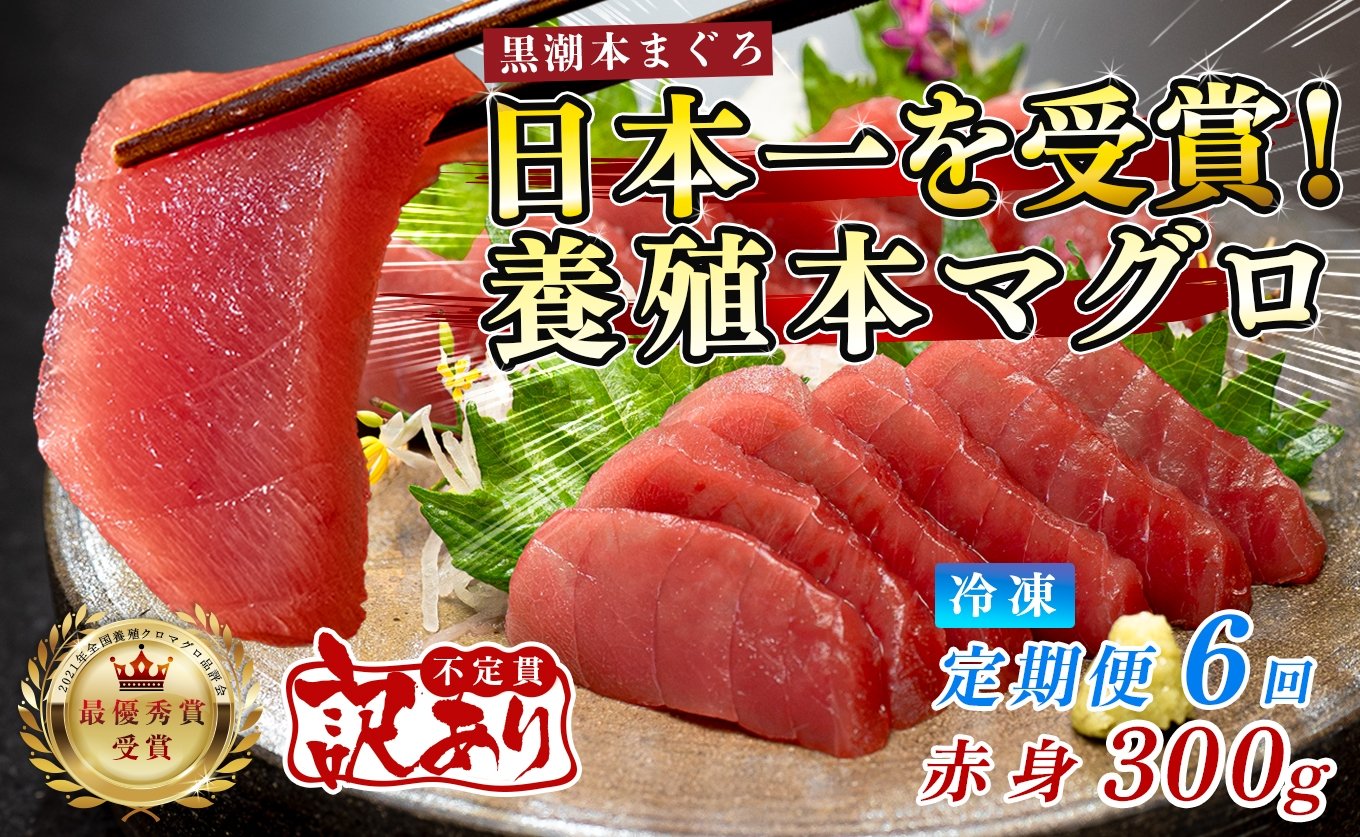 
                  訳あり まぐろ マグロ 本鮪 黒潮本まぐろ 赤身 定期便 6回 300g × 6回 刺身 さしみ 最優秀賞 全国養殖クロマグロ品評会 受賞 魚 魚介類 海鮮 柵 サク 冷凍 お取り寄せ 産地直送 ギフト 贈答  高知県 大月町
                