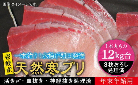 【お正月用】壱岐島産天然寒ブリ（12ｷﾛ台・3枚おろし）[JBS117]