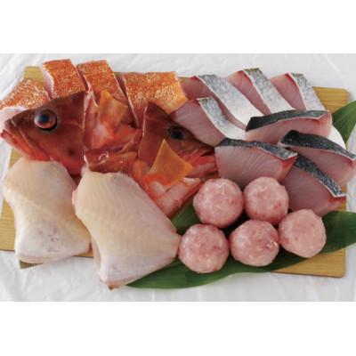 ふるさと納税 佐世保市 五島列島天然魚おまかせ海鮮鍋(約3人前) |  | 01