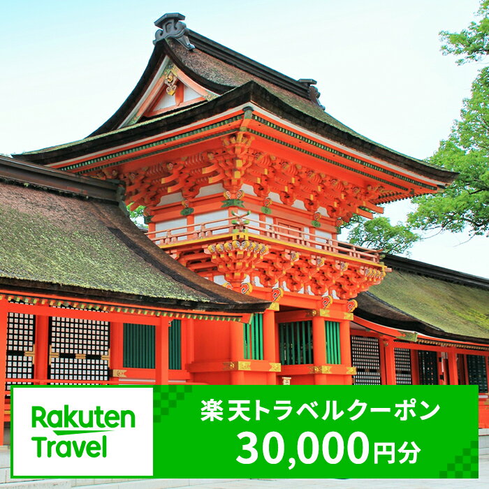 【ふるさと納税】楽天トラベルクーポン 30,000円分【111900400】【楽天グループ】