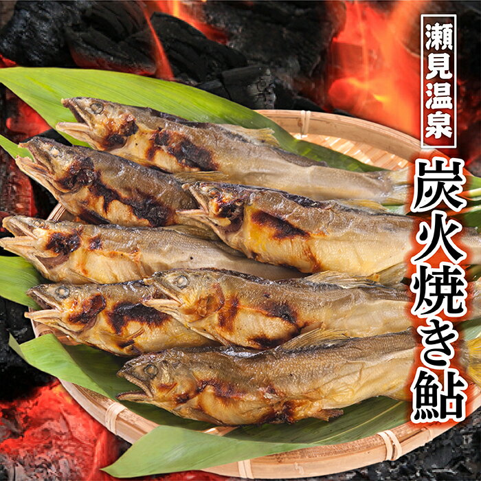 【ふるさと納税】炭火焼き 鮎 セット