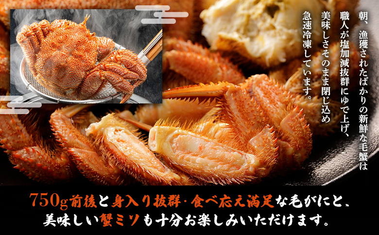 オホーツク産 オホーツク 毛がに 毛ガニ 毛蟹 蟹 カニ 750g 1尾 かに かにみそ カニみそ かに味噌 濃厚 北海道オホーツク産 海産物 海産 海鮮 魚介 魚貝 魚介類 冷凍 ふるさと納税 北海