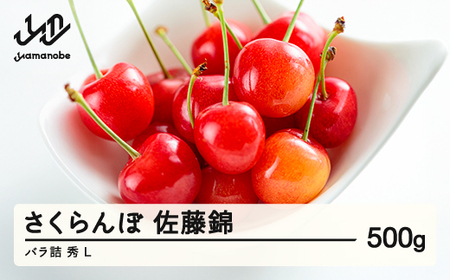 《先行予約》2026年 山形県産 さくらんぼ 佐藤錦 バラ詰 500g 秀 L F20A-916