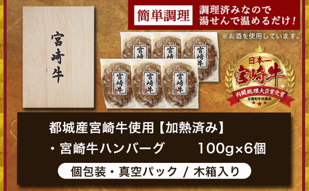 【父の日】加熱済み☆宮崎牛ハンバーグ6個≪6月12日～15日お届け≫_14-8405-FG_(都城市) 都城産 宮崎牛 ハンバーグ 湯せん 贈り物 父の日ギフト