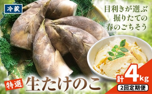 ズドンと太い姿はしっかり成長した証拠です。
