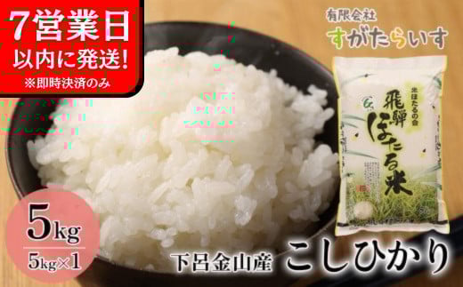 即納【令和7年産米】こしひかり 5kg すがたらいす  2025年産 お米 米 精米 下呂市金山産 コシヒカリ