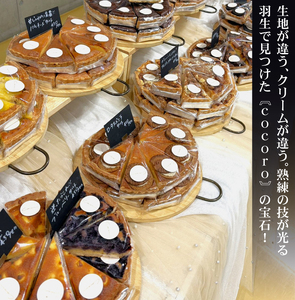 訳あり 品種おまかせ タルト 15ピース 6種~10種 7号(直径21cm) お菓子 ケーキ スイーツ 訳ありタルト 21cmタルト スイーツタルト cocoro 埼玉県 羽生市