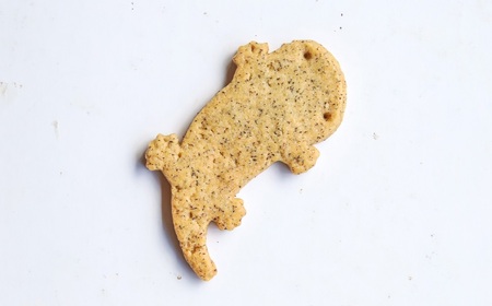 生野紅茶 ティータイムセット クッキー 紅茶 セット 紅茶クッキー サンショウウオ オオサンショウウオクッキー かわいい ギフト お土産 兵庫県 朝来市 AS30AD22