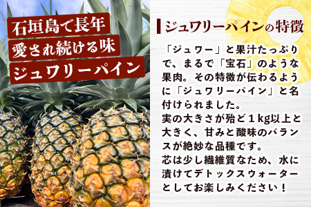 【予約受付】《2024年5月下旬～7月中旬発送》最高糖度18度！？ 完熟の極 石垣島産ジュワリーパイン TF-16