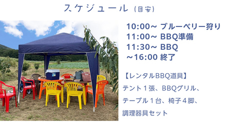 【寄附受付は2025年8月5日まで】 ブルーベリー狩り ＋ DAYキャンプ 体験チケット 《シニア２名様プラン レンタルBBQ道具＋お土産付き》 ブルーベリー ベリー 食べ比べ 食べ放題 収穫 収穫体