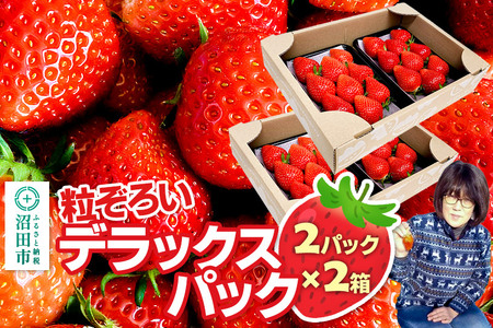 《2026年1月上旬～2月上旬発送》粒ぞろい「やよいひめ」デラックスパック 2箱4パック入り（280g×4）山口いちご園 苺 イチゴ いちご