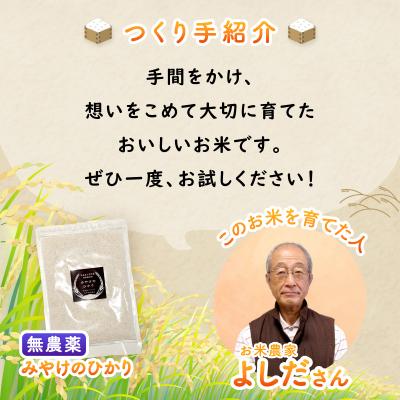ふるさと納税 三宅町 特別栽培米 みやけのひかり 2合 300グラム お試し 無農薬米 奈良県三宅町 白米 ヒノヒカリ