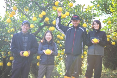 浜田農園 土佐文旦 5kg 家庭用 文旦