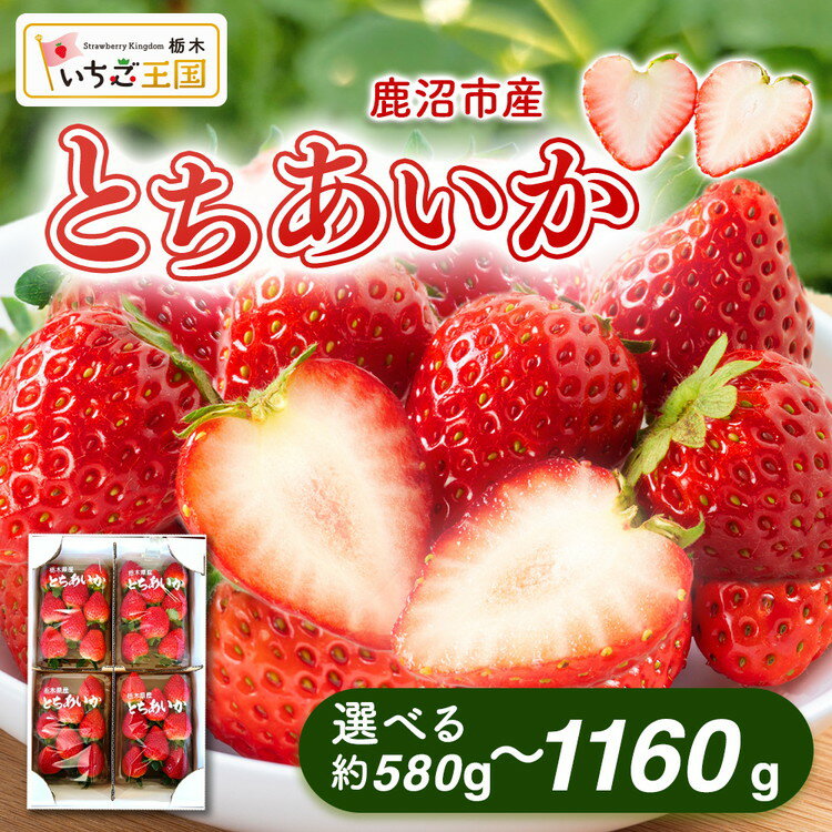 【ふるさと納税】【選べる内容量】【先行予約】出会いの森いちご園 とちあいか （290g×2パック/4パック） | いちご イチゴ 苺 栃木県 果物 くだもの フルーツ とちあいか 新鮮 贈答 ギフト ※離島への配送不可 ※2026年12月上旬頃から2027年3月下旬頃に順次発送予定