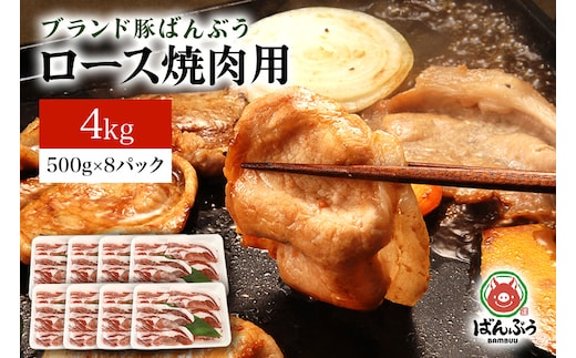 
										
										ブランド豚「ばんぶぅ」ロース焼肉用 4.0kg(500g×8パック)
									
