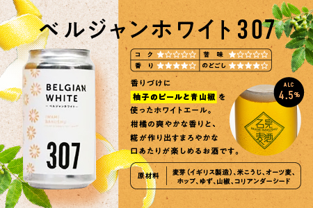 石見麦酒2種4本とレッドチキンカレー2袋 セットB IB-12 330ml×4本【配送不可：離島】
