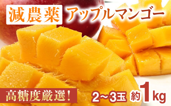 
            2026年 先行予約 【高糖度厳選】プレミアム完熟マンゴー1kg 2～3玉(栽培期間中 減農薬栽培) アナナス農園 完熟 マンゴー 果物 フルーツ
          