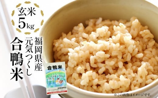 令和7年産 新米予約 合鴨米「元気つくし」（玄米・5kg）数量限定 BI09