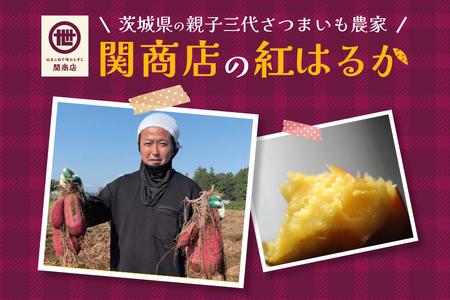 【2026年12月上旬～順次発送予定】関商店 干し芋平干し 紅はるか 660g（220g×3袋） 国産 茨城 62-D