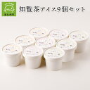 【ふるさと納税】知覧茶アイス9個セット