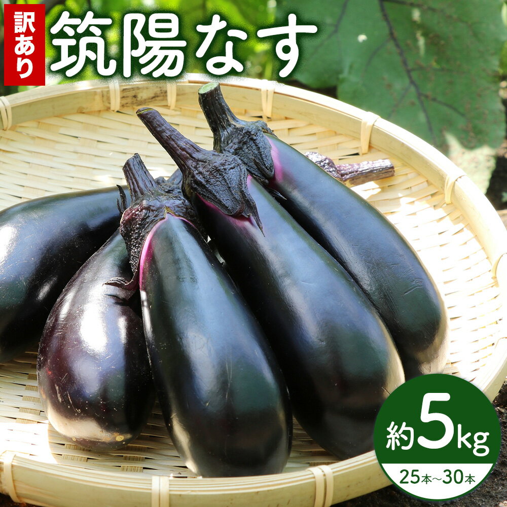 【ふるさと納税】訳あり 筑陽なす 約5kg 25-30本 さつま園芸組合《7月上旬-9月末頃出荷》鹿児島県 さつま町 茄子 なす ナス なすび 野菜 訳アリ ご家庭用