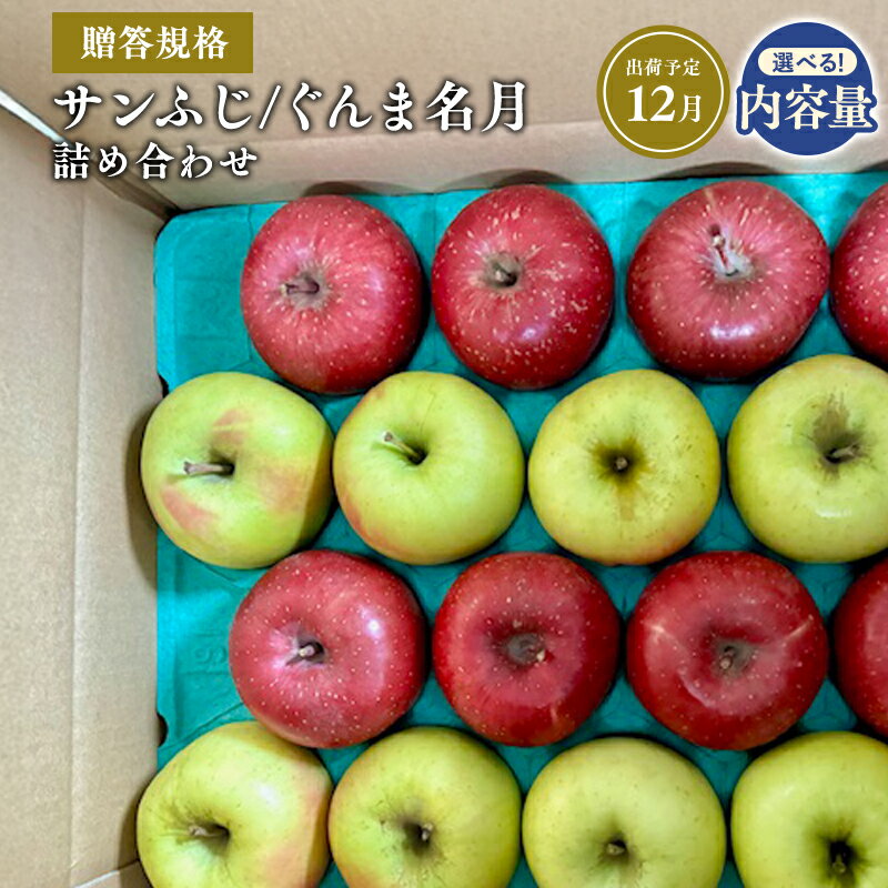 【ふるさと納税】≪令和7年産先行受付≫青森県産 贈答用 サンふじ・ぐんま名月 詰め合わせ 約3kg 約5kg【青森県 平川市 山内ファーム】贈答 青森りんご りんご リンゴ 林檎 サンフジ ふじ 群馬名月 お取り寄せ 先行予約 果物 くだもの フルーツ レビューキャンペーン